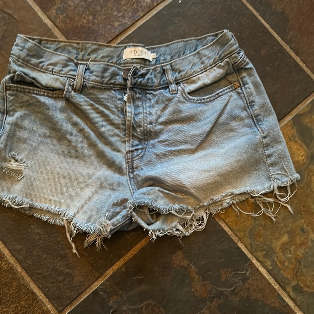 Hidden Size Large